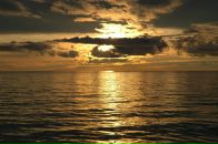 Фотография Беляева Алексея