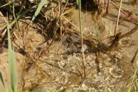 Игорь Матарыкин фотография #31 (источник - https://vk.com/id422203)