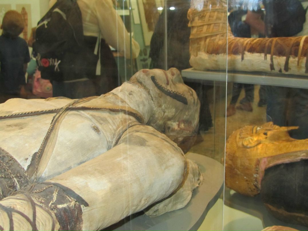 Михаил Плотников фотография #15