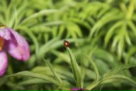 Фотография Илютина Дениса