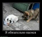 Фотография Кемарский Игорь