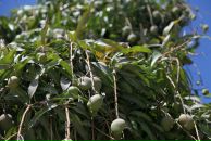 Джейн Эйр фотография #34 (источник - https://vk.com/id440454)