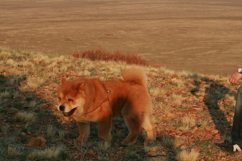 Orlov Ivan фотография #34