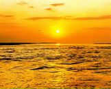 Фотография Александровны Виолетты