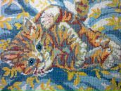 Фотография Болдыревой Ольги