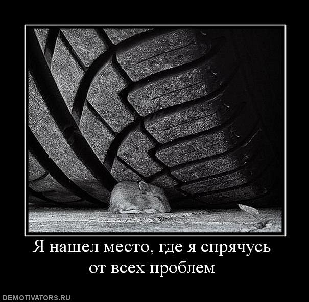 Антон Касьяненко фотография #32