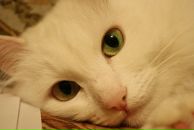 Фотография Юсуфовой Тамары