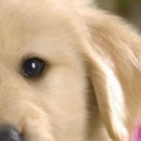 Василина Ходовіцька фотография #36 (источник - https://vk.com/id61334995)