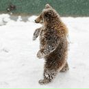 Фотография Налейкина Артема