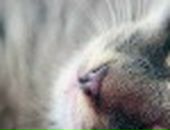 Анастасия Солдатова фотография #26 (источник - https://vk.com/id10623)