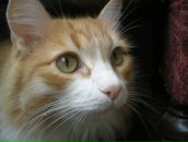 Фотография Валикаевой Юлии