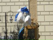 Віталіна Лисяк фотография #46 (источник - https://vk.com/id69467160)