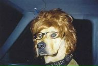 Фотография Прытовой Даши