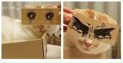 Денис Соловьев фотография #33 (источник - https://vk.com/id730284)