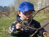 Фотография  