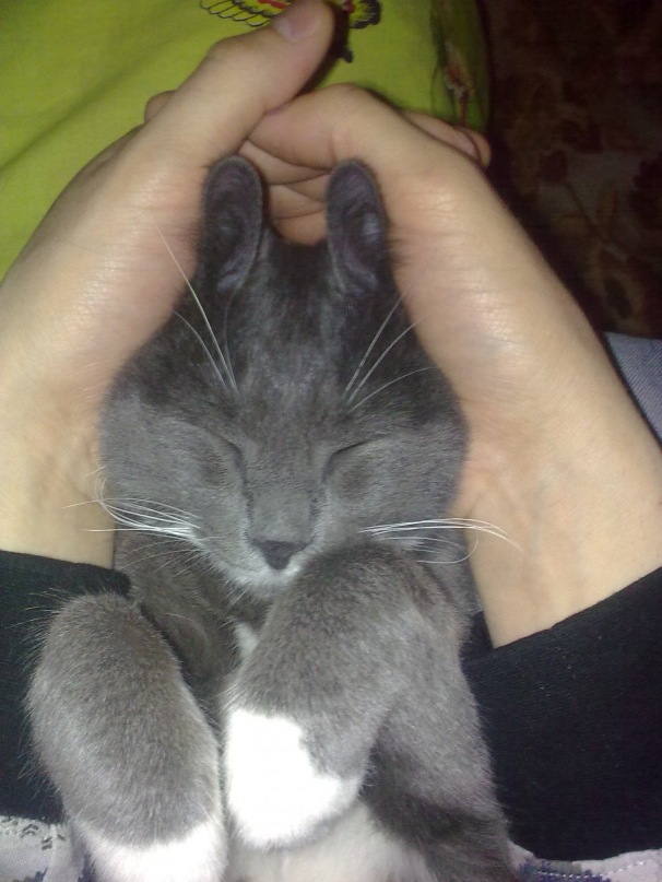 Софья Чернова фотография #17