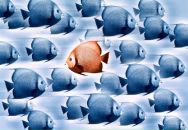 Роман Киштеев фотография #22 (источник - https://vk.com/id1027508)