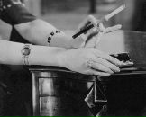 Фотография Дорошенко Инны