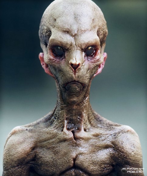 №7, Ринат Кучушев №7, Ринат Кучушев