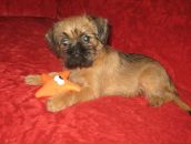 Фотография Рабыкиной Виктории