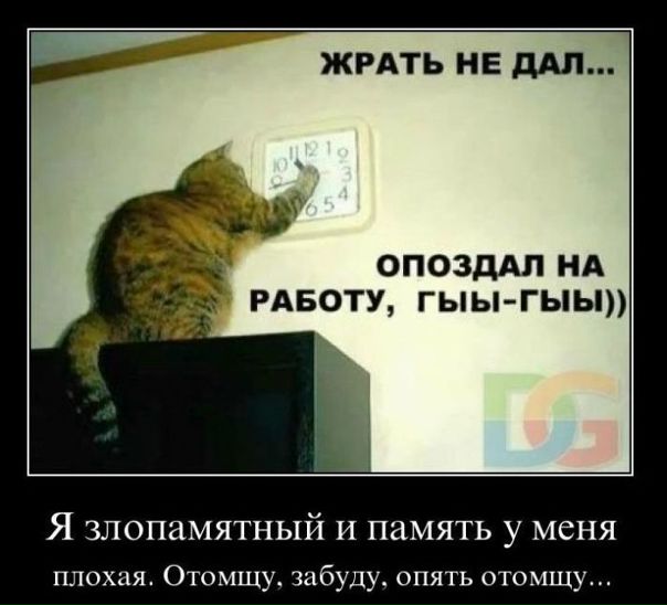 №12, Виталий Пчёл, 42 года, Москва №12, Виталий Пчёл, 42 года, Москва