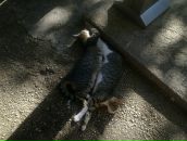 Фотография Змановской Надежды