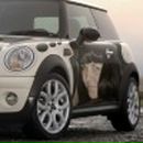 Фотография Шаповаловой Марины