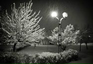 Фотография Балахонцевой Марины