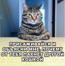 Данира А фотография #45 (источник - https://vk.com/id578078)