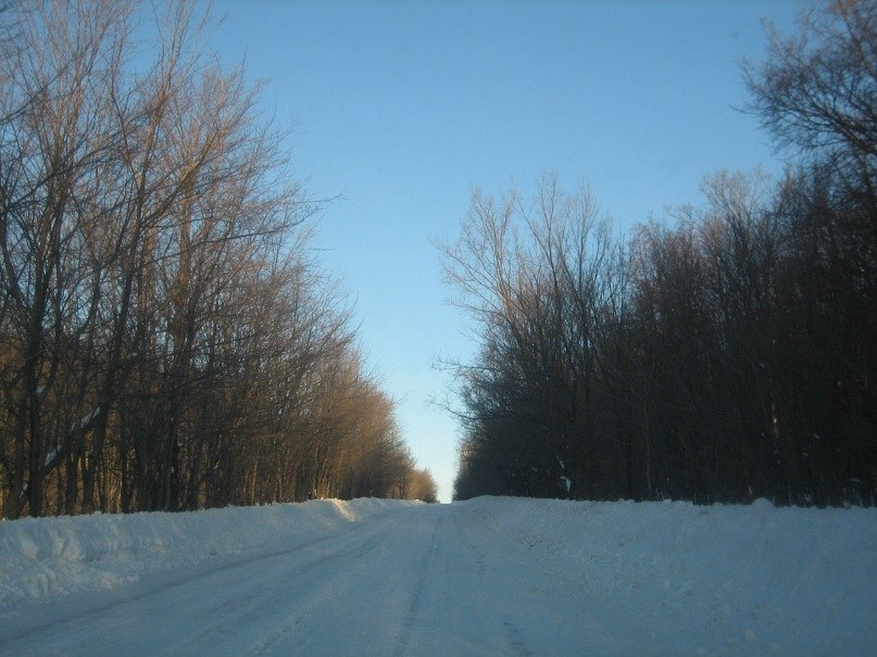 Иван Просоедов фотография #5