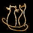 Фотография Шахова Юрия