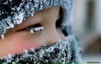 Фотография Painkiller Denis