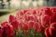 Наталія Погранична фотография #11 (источник - https://vk.com/id45310265)