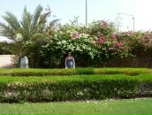 Наташа .... фотография #9 (источник - https://vk.com/id631785)