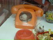 Сергей Кондратьев фотография #35 (источник - https://vk.com/id12372225)