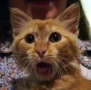 Евгений Волков фотография #21 (источник - https://vk.com/id5284331)