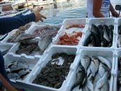 Семен Таширев фотография #35 (источник - https://vk.com/id374459)