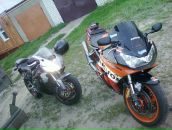 Фотография Lisicin Pavel