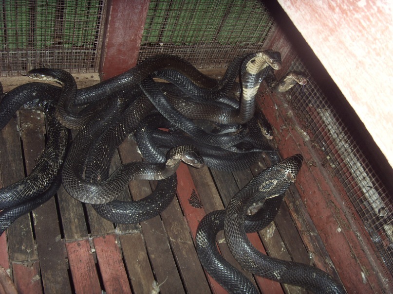 Евгений Прошин фотография #40