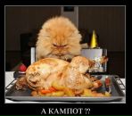 Фотография Козмирчук Юлии