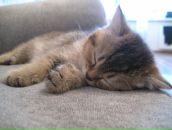 Фотография Мамаевой Ирины