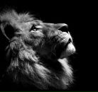 Фотография Роганова Евгения