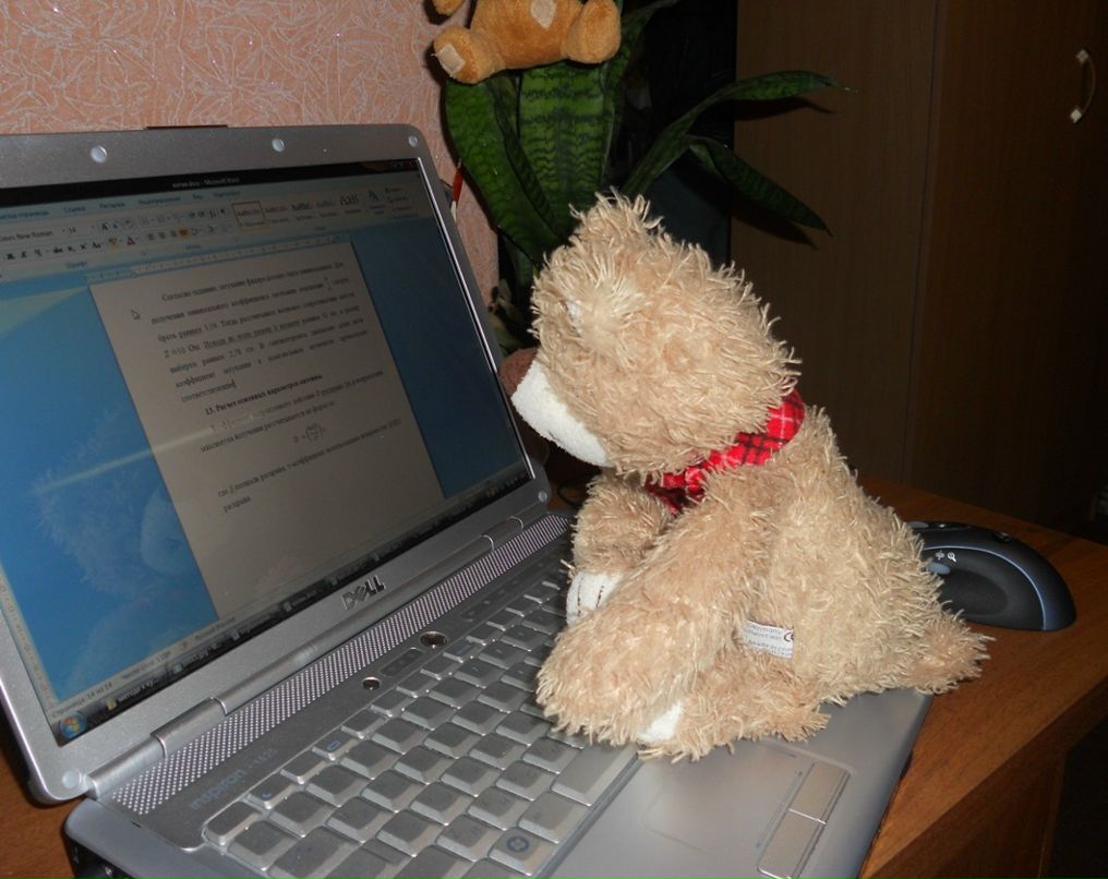 Дарья Баранова фотография #46