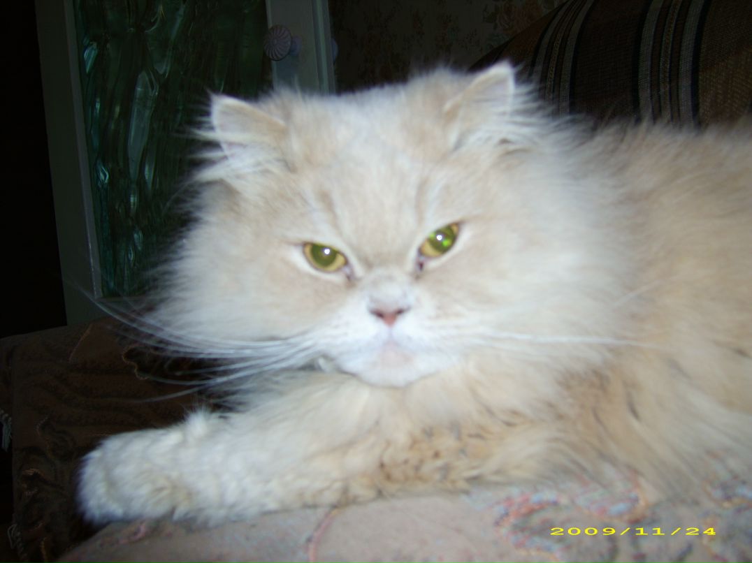 Илья Скобелев фотография #27