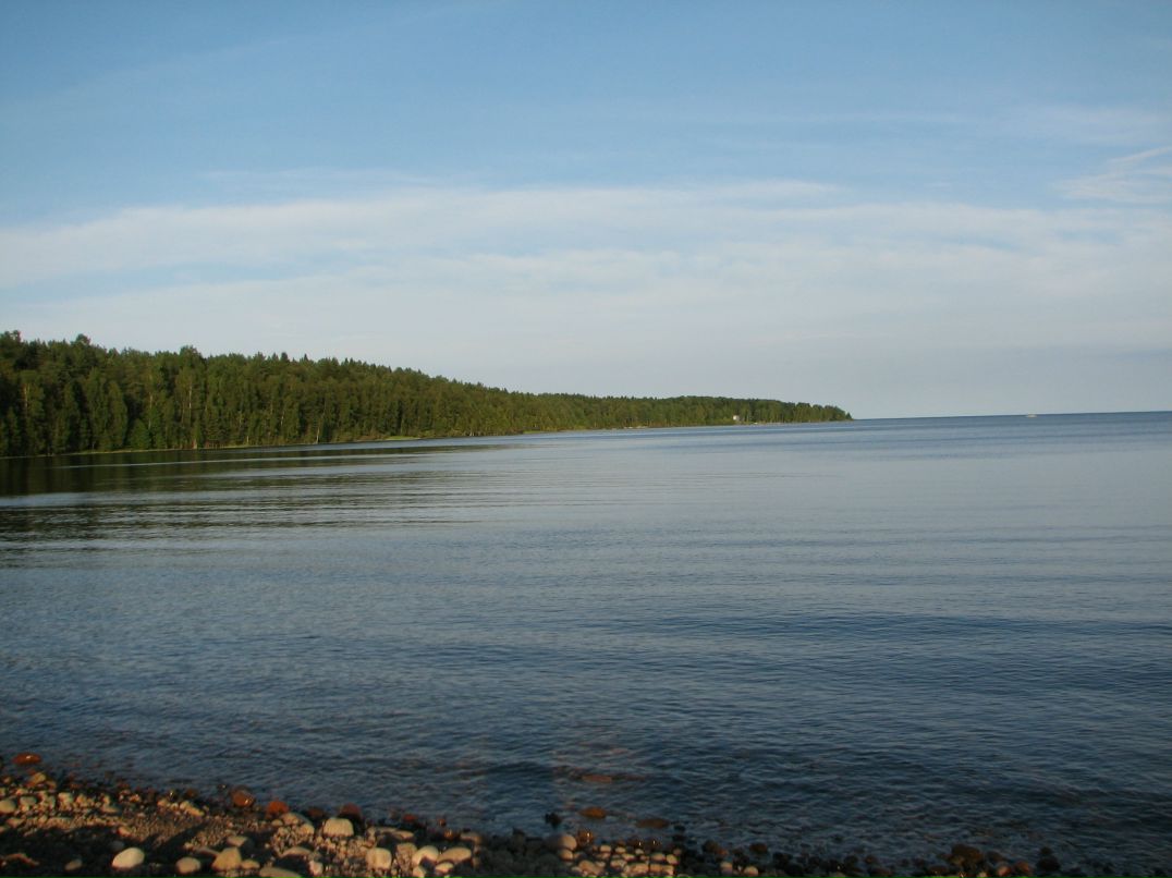 Николай Савельев фотография #13