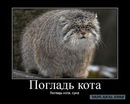 Софія Токарець фотография #7 (источник - https://vk.com/id152590586)
