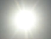 Фотография Вороновой-Черемисиной Светланы