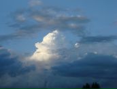 Фотография Корчагиной Ирины