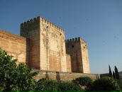 Иван Гришин фотография #39 (источник - https://vk.com/id3192283)