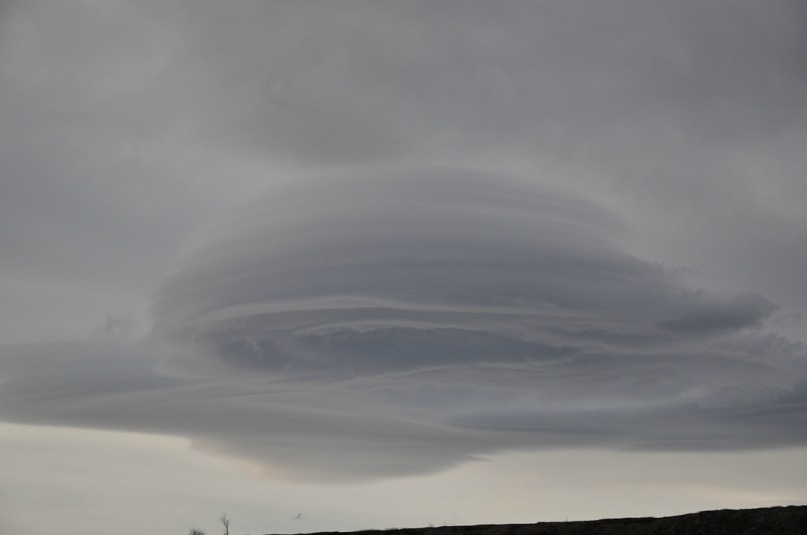 Лариса Никишева фотография #46